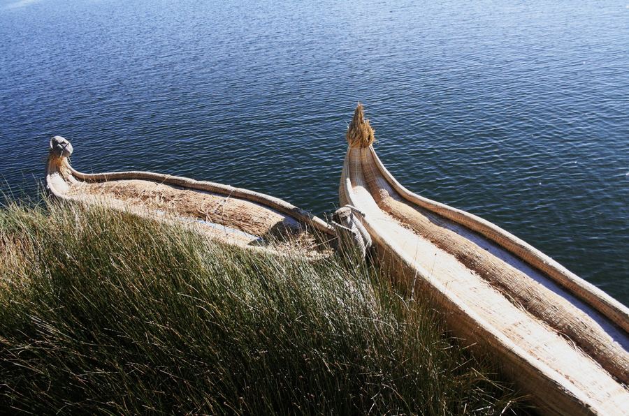 Two reed boats drawn up among the rushes at the edge of a lake