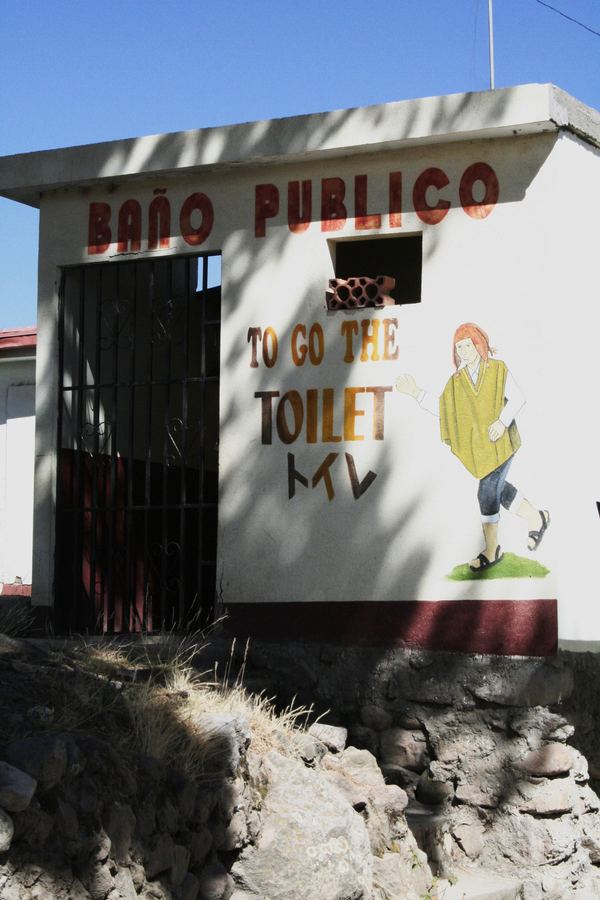 A public bathroom painted with instructional signage
