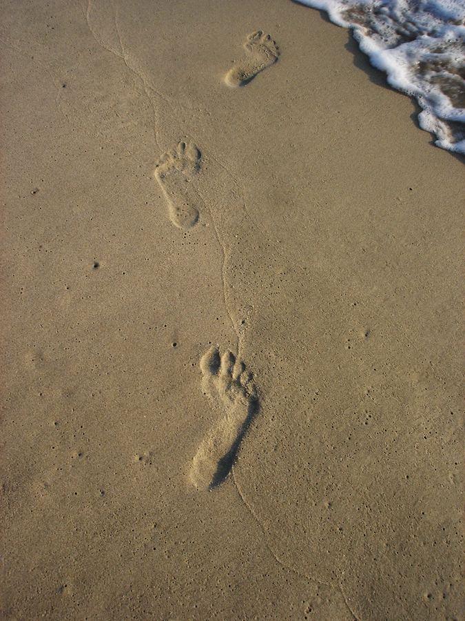 Footprints crossing wet sand toward the surf
