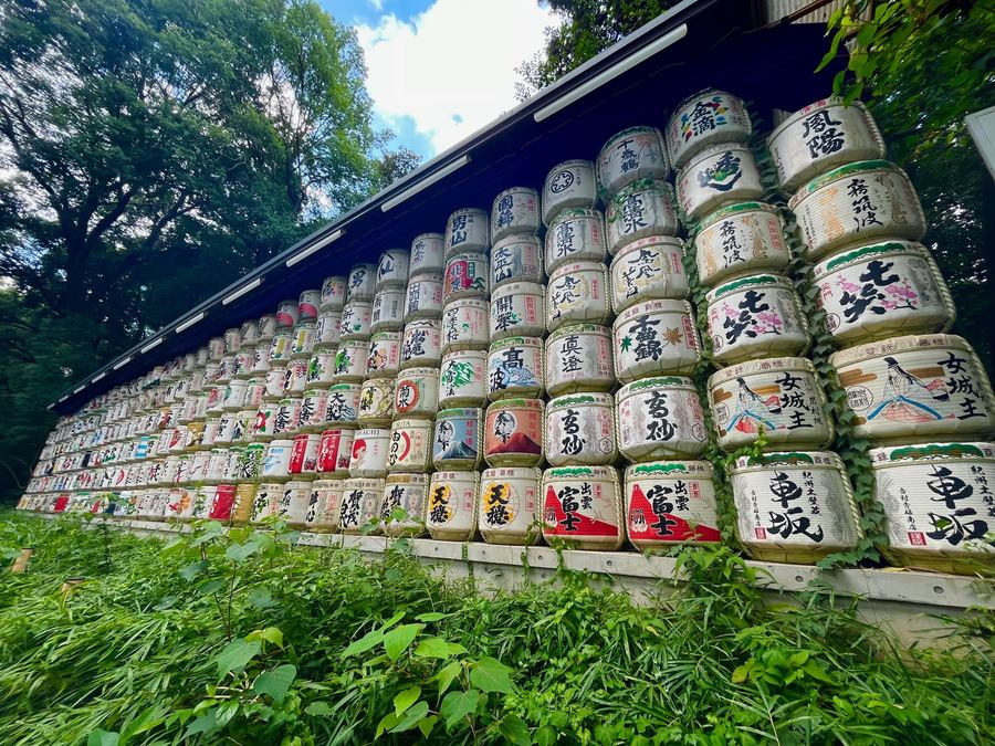 A stacked wall of decorated sake barrels behind summer greenery