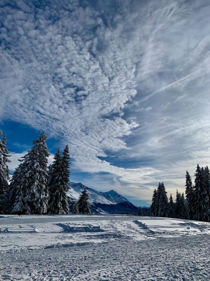 Snow-covered pines and mountains under a sky of streaked cloud